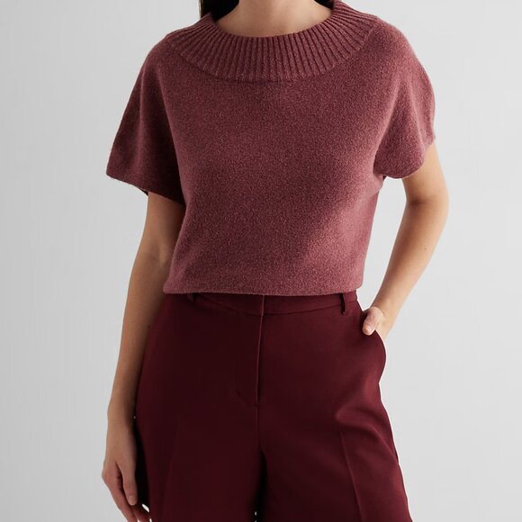 Express Women’s Editor Studio Stretch Twill Tailored Shorts Size 8 Wine Burgundy - Picture 3 of 14